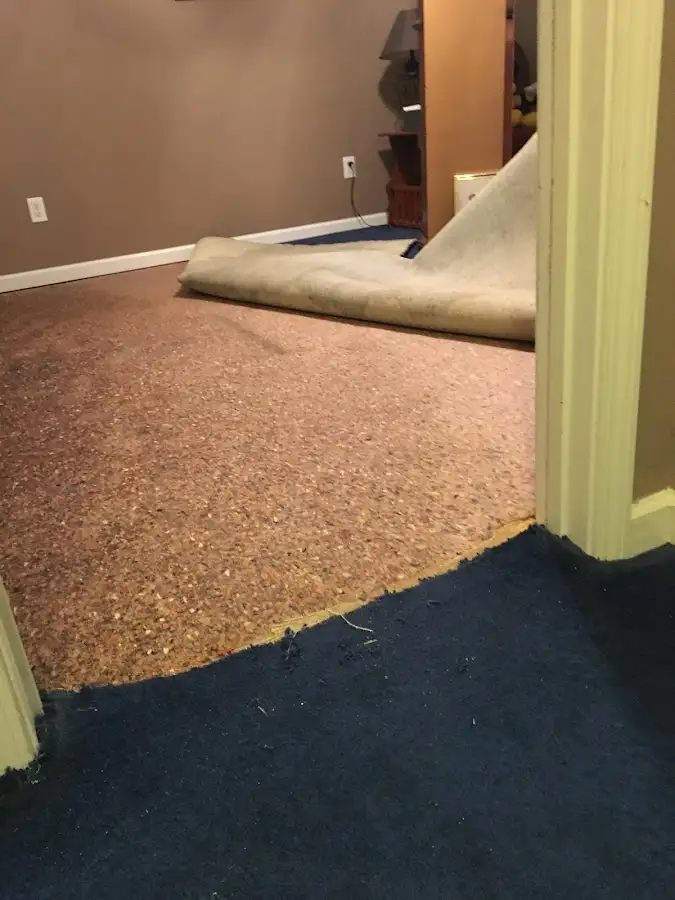 Carpet pad removal revealing water damage during Drying & Dehumidification in Ranchettes