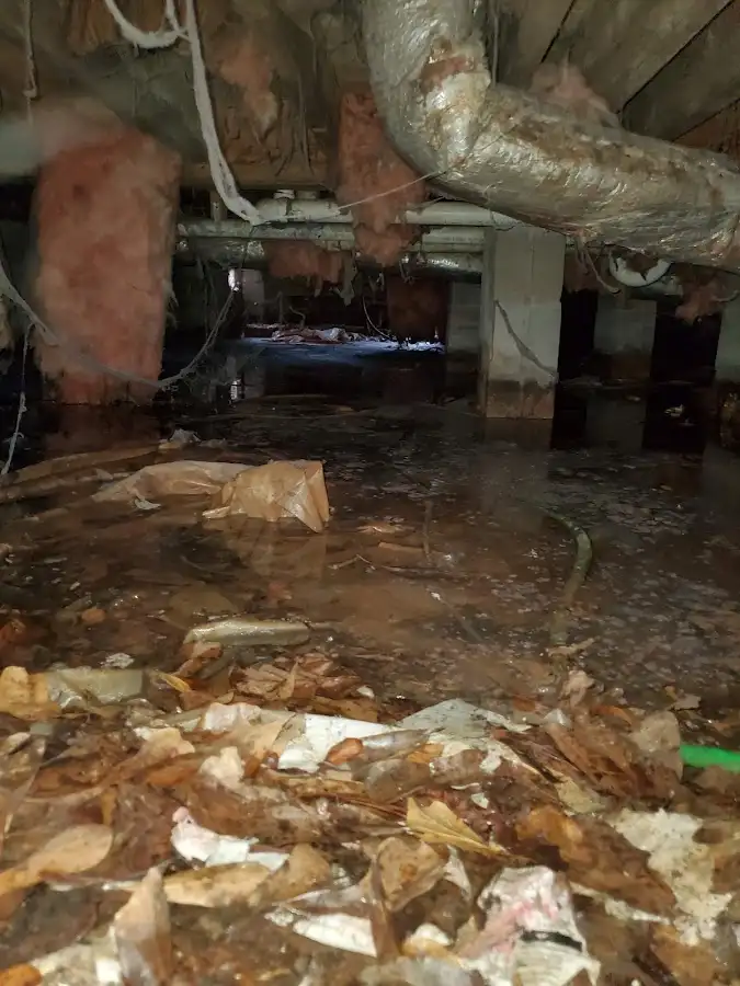 Crawl space flood assessment for Leak Detection & Repair in Ranchettes
